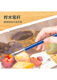 Bộ Cọ Vẽ Chuyên Nghiệp Deli - Dùng Cho Màu Nước/Bột/Sơn Acrylic -Set 4/6 Cây- 73885/73866/73867