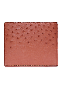  Ví nam da đà điểu da bụng nhiều màu HJ92405-06-07-14-19-32