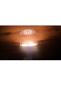 Đèn trồng cây, đèn quang hợp, vượt đông nhà lưới, nhà kính chính hãng Rạng Đông T135 WBU 50W