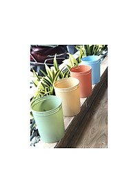 Sọt Đựng Rác Tiện Lợi Nhiều Cỡ Hiro Hàng Xuất Nhật Inochi - Hàng Chính Hãng ( Tặng kèm khăn lau đa năng) Giao màu ngẫu nhiên 