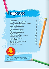 product-img-3