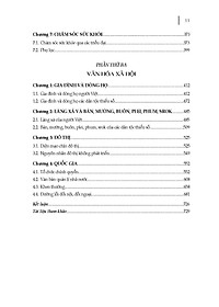 Văn Hóa Vật Chất Và Văn Hóa Xã Hội Thời Kì ĐẠI VIỆT (Bìa cứng)