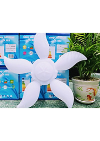 product-img-7