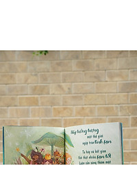 product-img-23