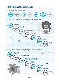 product-img-10