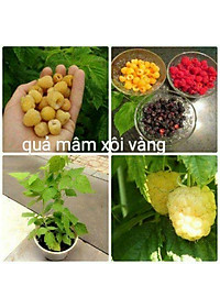 product-img-5