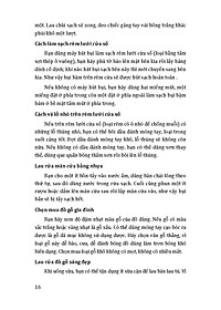 product-img-13