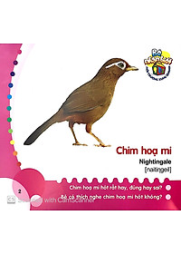 Sách Bé Nhận Biết Môi Trường Xung Quanh (0 - 3 Tuổi) - Chim (Birds)