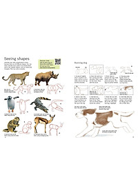 Sách tô vẽ tiếng Anh: Usborne Art Ideas Drawing Animals