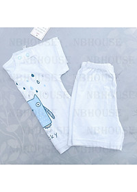 product-img-12