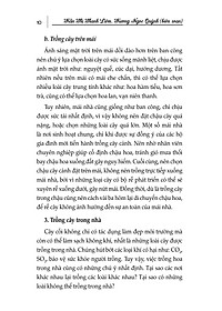 product-img-8