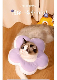 product-img-15