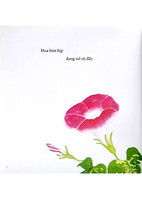 Ehon - Mọt Sách Mogu - Tìm Thấy Mùa Hè Rồi!