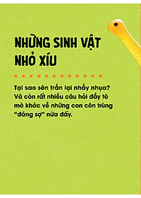 product-img-9