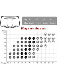 Bộ 5 Quần Lót Nam Đùi Xuất Nhật Chất Mát (Màu Ngẫu Nghiên)