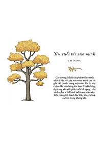 Sống Như Những Cái Cây - Những Bài Học Nhỏ Để Có Nguồn Hạnh Phúc Bất Tận (Tái Bản 2021)
