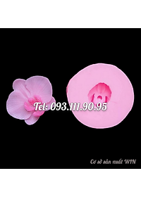product-img-8