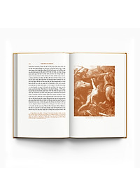product-img-7
