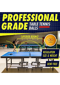 Combo 2 Vợt Bóng Bàn Tặng Kèm 3 Quả Bóng Bàn + Kẹp Trụ Lưới Bóng Bàn Rút Gọn Nhựa ABS 1,7m Chính Hãng dododios