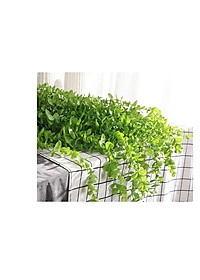 product-img-8