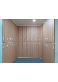 Khoá số DL12 công nghệ Singapore dành cho Tủ Locker gỗ (Locker & Lock)