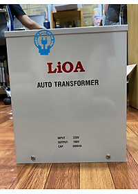 Biến áp đổi nguồn hạ áp 1 pha LiOA DN030