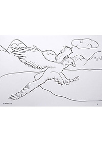 product-img-3