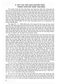 Sách 171 Bài Và Đoạn Văn Hay Lớp 9