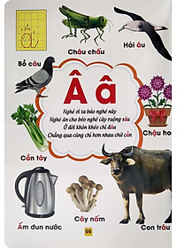 product-img-6