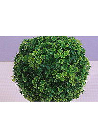 product-img-22
