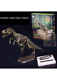 [Có sẵn] Mô hình Khủng Long hóa thạch - truy tìm dấu vết hóa thạch