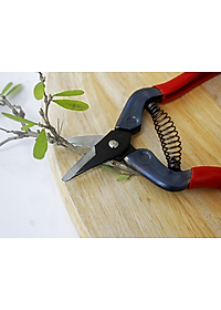 Kéo tỉa cành cao cấp Nhật Bản Chikamasa S-2C chiều dài lưỡi 23mm -  lưỡi thép carbon chất lượng cao siêu bén - Cắt ngọt, không bám dính, liền sẹo nhanh
