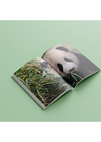 Nhật Ký Hạnh Phúc Của Công Chúa Fubao - Tặng Kèm Bookmark