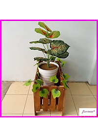 product-img-4