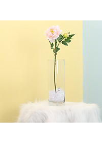 product-img-12