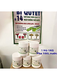 product-img-7