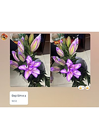 product-img-13