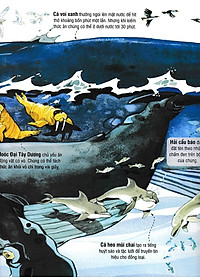 Sách Tương Tác - Big Book - Cuốn Sách Khổng Lồ Về Các Loài Động Vật Biển (Tái Bản 2018)