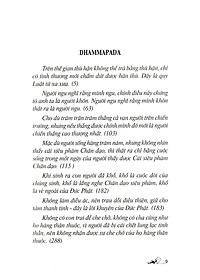 product-img-12