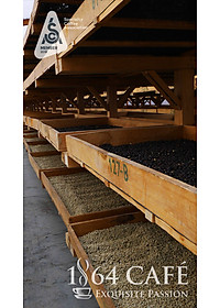 product-img-17