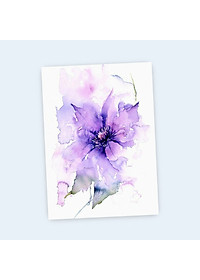 product-img-16