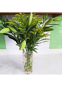 Bộ 5 hộp Chế phẩm xử lý hoa Longlife của Israel - Bảo quản hoa cắm bình tươi lâu và 14 ngày không thối nước