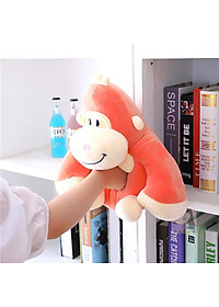 product-img-4