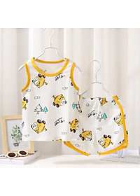 product-img-6