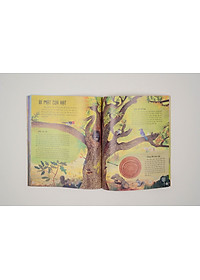 product-img-7
