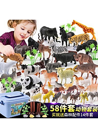 product-img-5