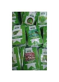 Hạt giống Bí Siêu Ngọn ăn Đọt và Bông 10g