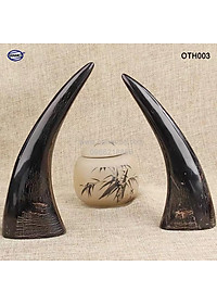 Chóp sừng trâu vật phẩm phong thủy (OTH003) HOT nhất của năm trâu vàng 2021 - giàu sang - phú quý 