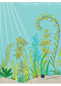 product-img-7