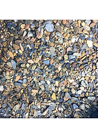 Sạn suối thiên nhiên trải nền bể cá - Bể BioTop - Sỏi suối trải nền thuỷ sinh - Hồ cá cảnh - bể cá